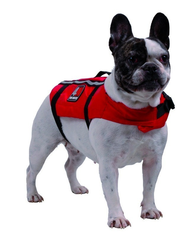 gilet sauvetage pour chien